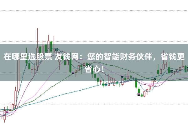 在哪里选股票 友钱网：您的智能财务伙伴，省钱更省心！