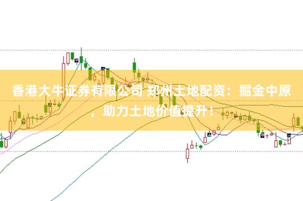 香港大牛证券有限公司 郑州土地配资：掘金中原，助力土地价值提升！