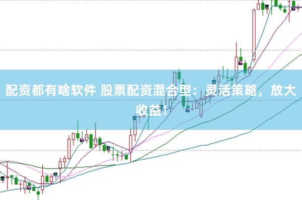 配资都有啥软件 股票配资混合型:灵活策略,放大收益!