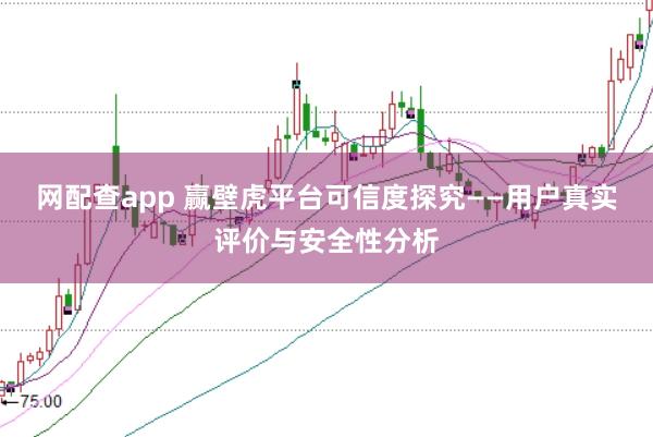 网配查app 赢壁虎平台可信度探究——用户真实评价与安全性分析