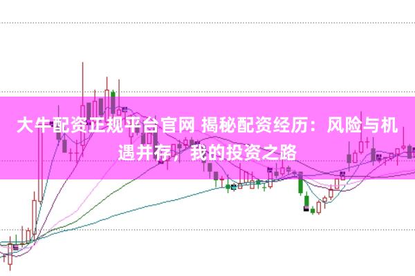 大牛配资正规平台官网 揭秘配资经历:风险与机遇并存,我的投资之路