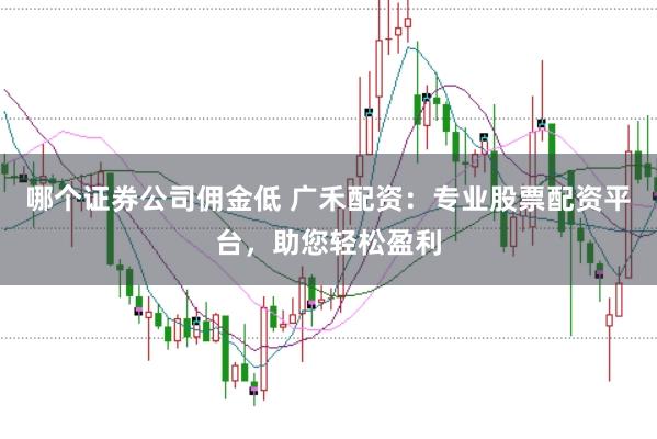 哪个证券公司佣金低 广禾配资：专业股票配资平台，助您轻松盈利