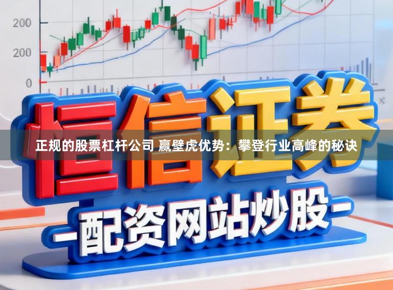 正规的股票杠杆公司 赢壁虎优势：攀登行业高峰的秘诀